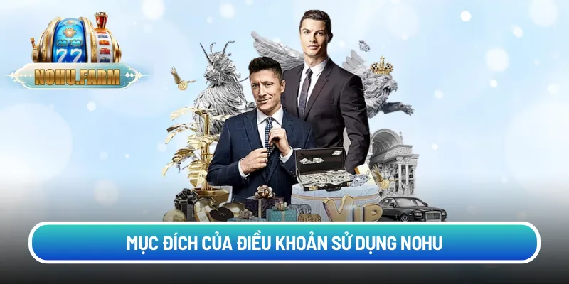 Mục đích của điều khoản sử dụng Nohu